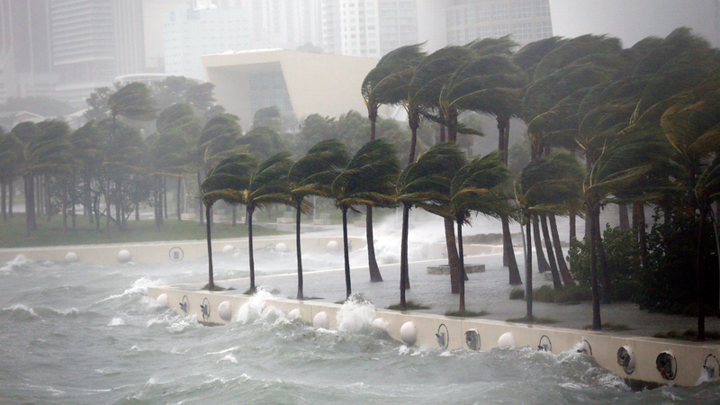 Biscayne Bay in Miami. Photo: AP
